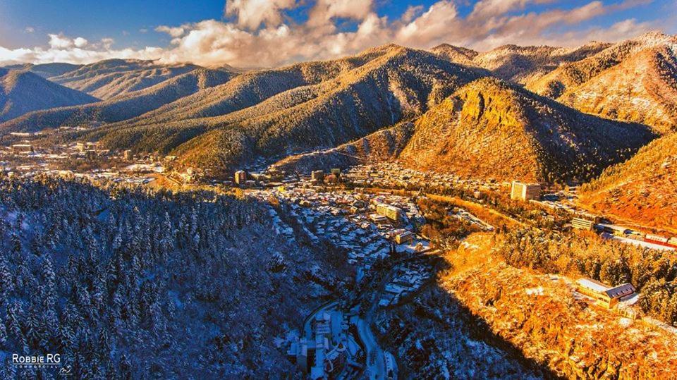 Guest House Besarioni Borjomi Bagian luar foto