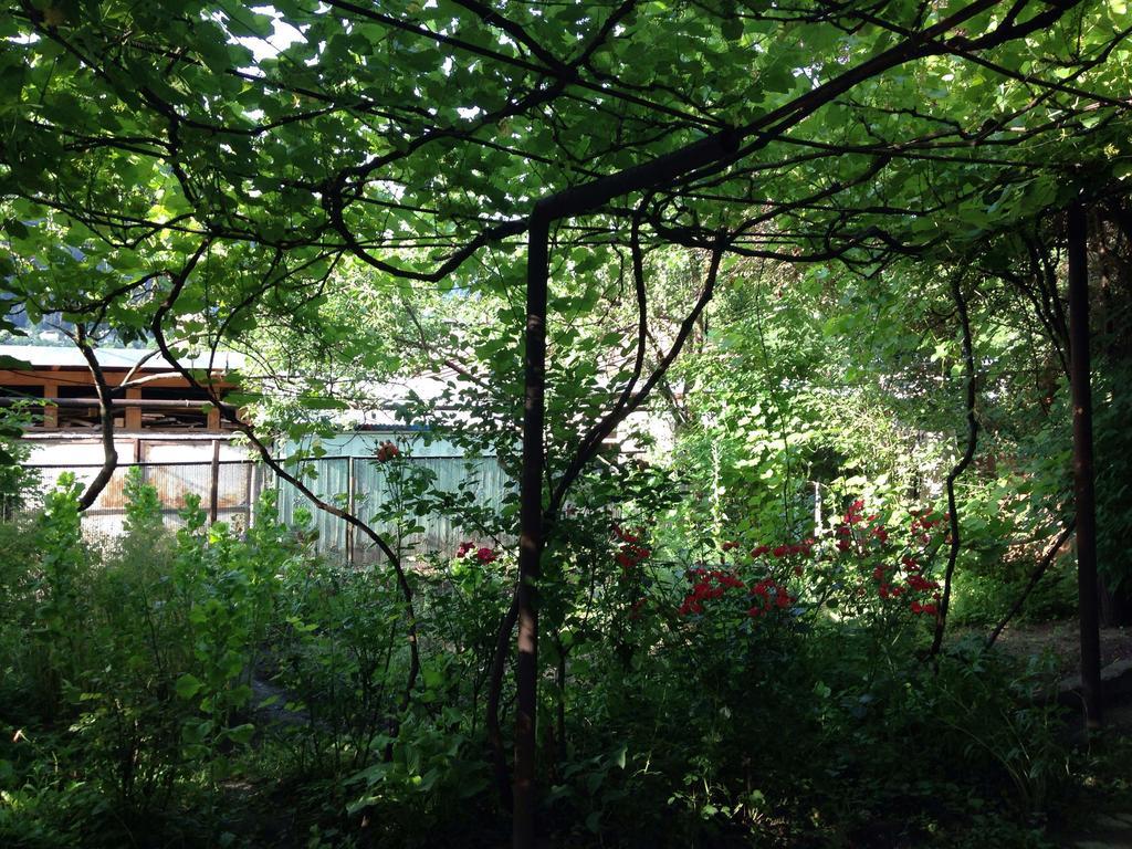 Guest House Besarioni Borjomi Bagian luar foto